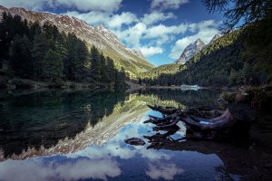 CyrillRusch.ch©La00026