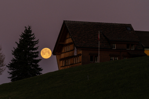 CyrillRusch.ch©La00030