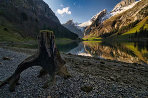 CyrillRusch.ch©La00036